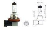 Halogen Bulb H11 Clear 12V 55W
